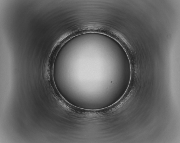 X0000116461018200912161228