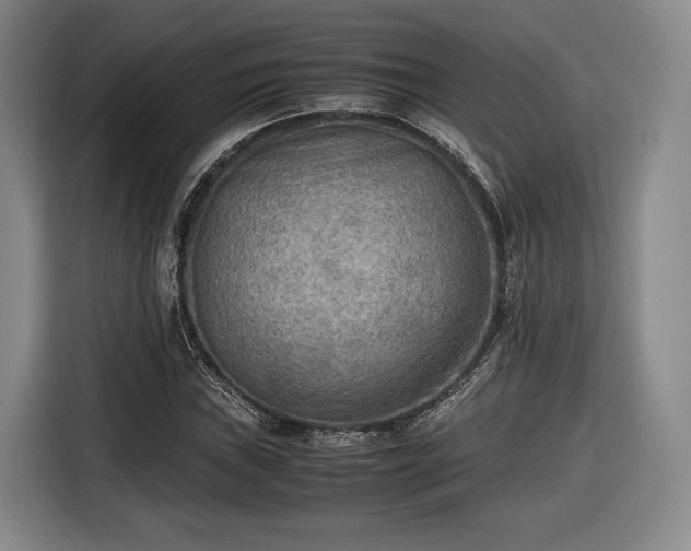 X0000116461019200912161228
