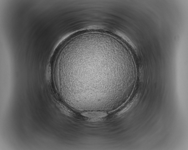 X0000116461021200912161228