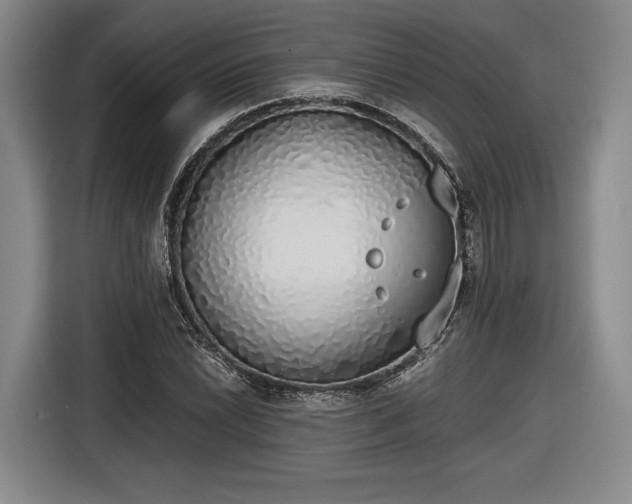 X0000116461022200912161228
