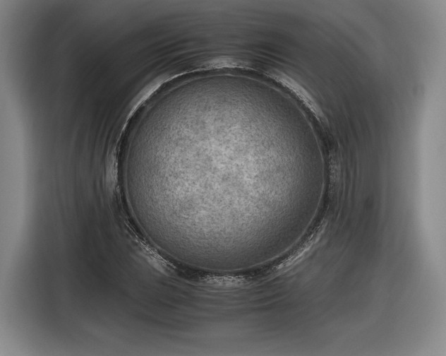 X0000116461023200912161228