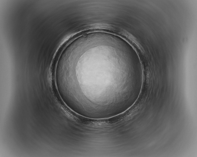 X0000116461024200912161228