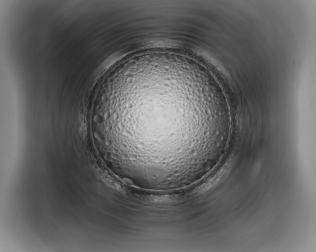 X0000116461025200912161228