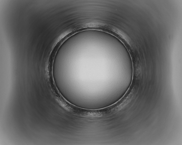 X0000116461026200912161228