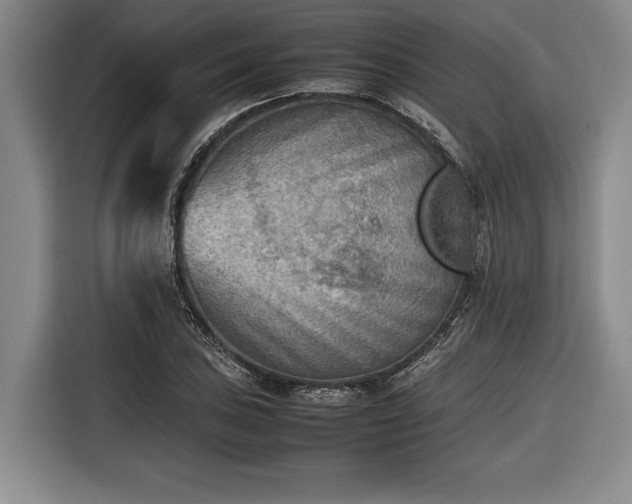 X0000116461027200912161228