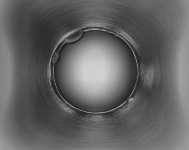 X0000116461028200912161228