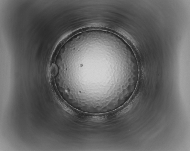 X0000116461029200912161228