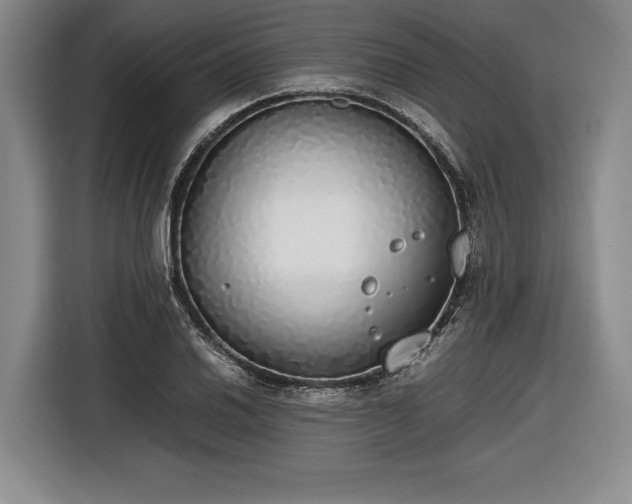 X0000116461030200912161228