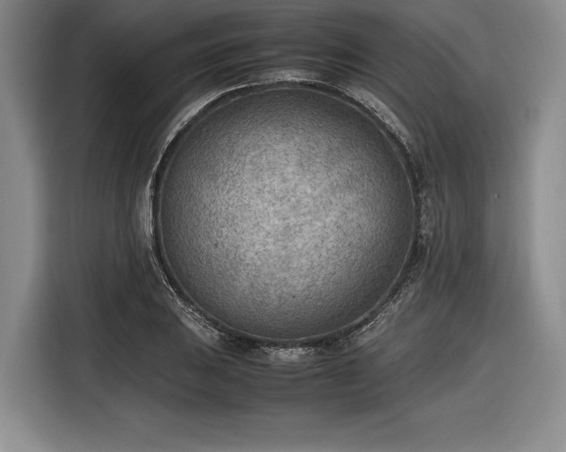 X0000116461031200912161228