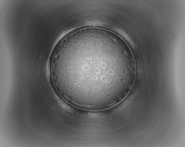 X0000116461032200912161228