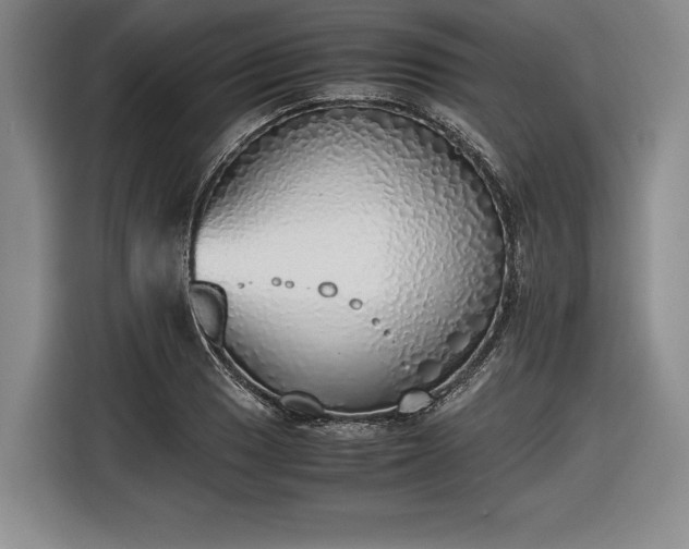 X0000116461033200912161228