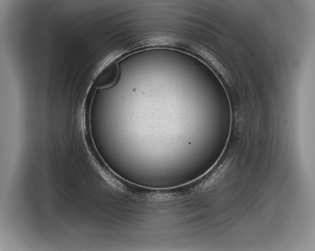 X0000116461034200912161228