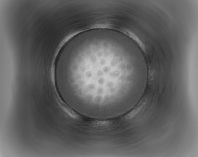 X0000116461035200912161228