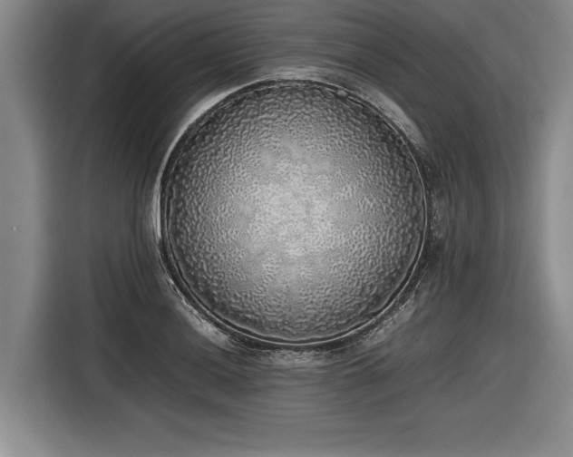 X0000116461036200912161228
