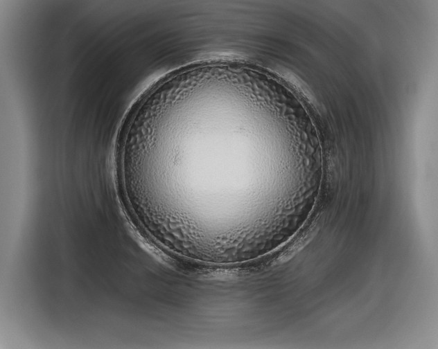 X0000116461038200912161228