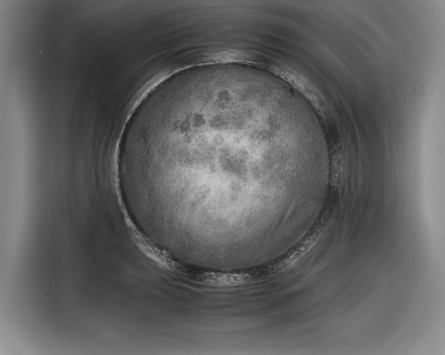X0000116461039200912161228