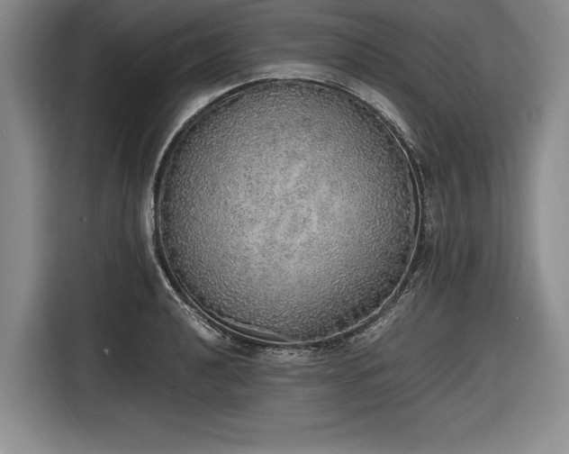 X0000116461040200912161228