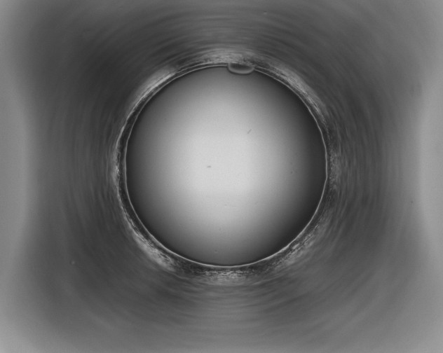 X0000116461042200912161228