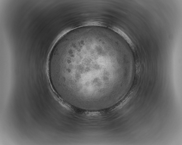 X0000116461043200912161228