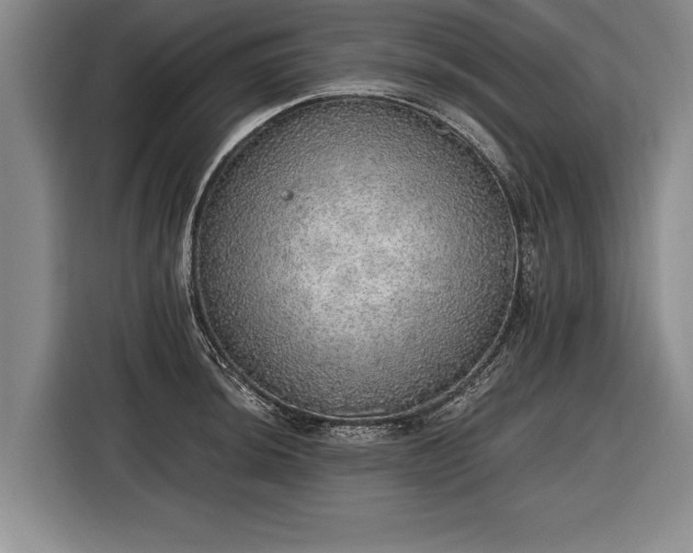 X0000116461044200912161228