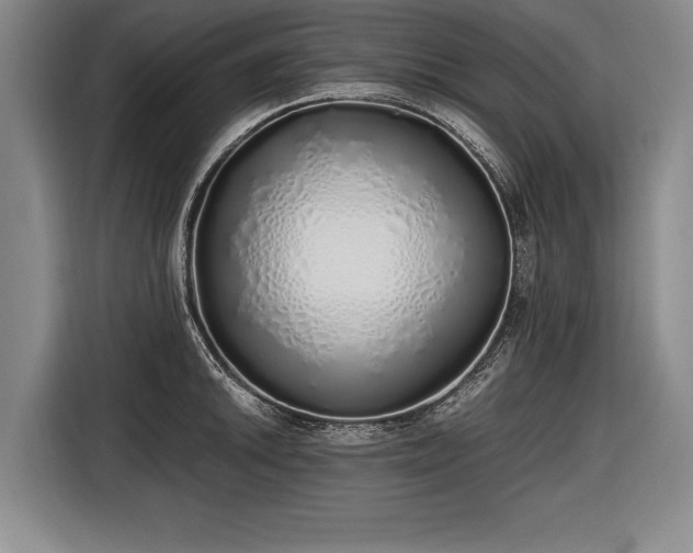 X0000116461046200912161228