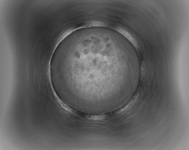 X0000116461047200912161228
