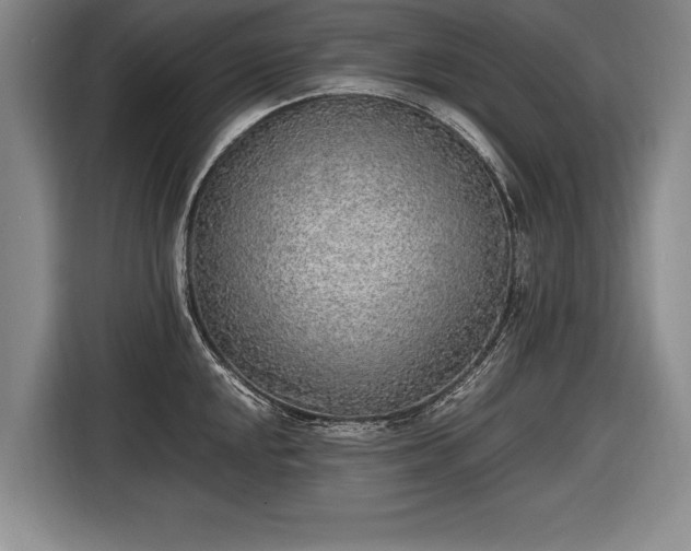 X0000116461048200912161228