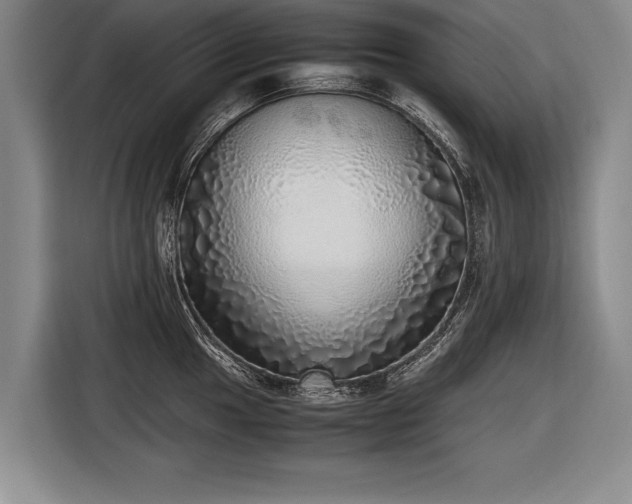 X0000116461049200912161228