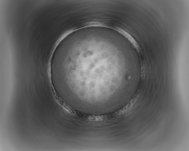 X0000116461051200912161228