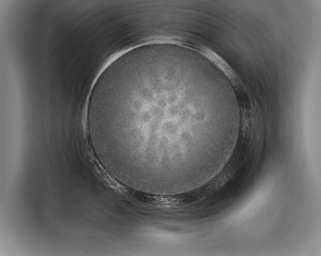 X0000116461052200912161228