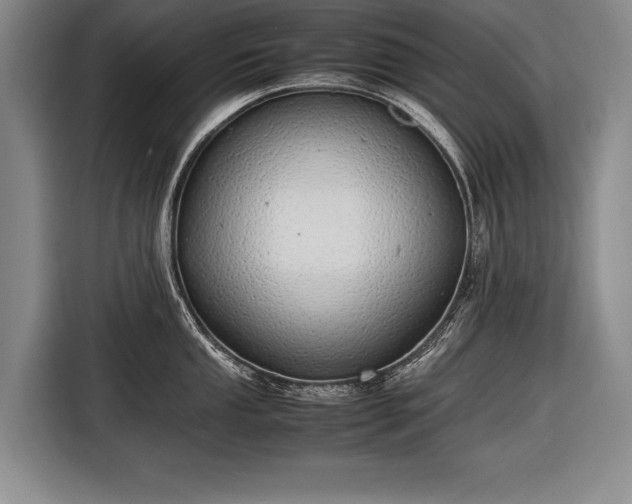 X0000116461053200912161228