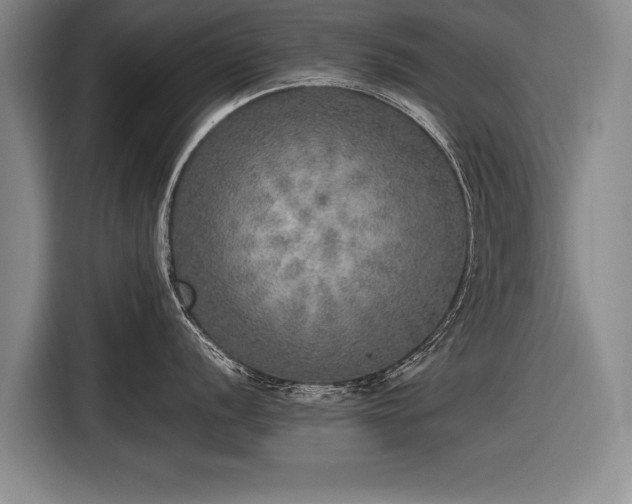 X0000116461056200912161228