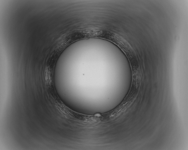 X0000116461058200912161228
