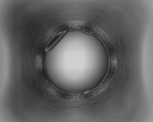 X0000116461060200912161228