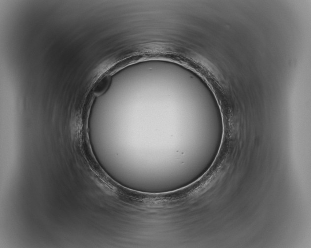 X0000116461065200912161227