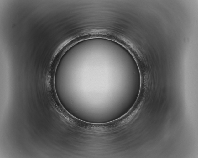 X0000116461066200912161227