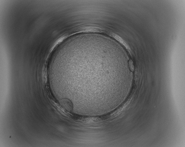 X0000116461067200912161227