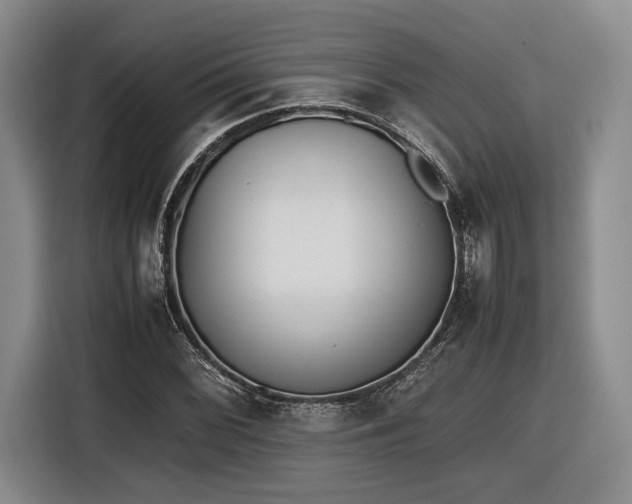 X0000116461068200912161227