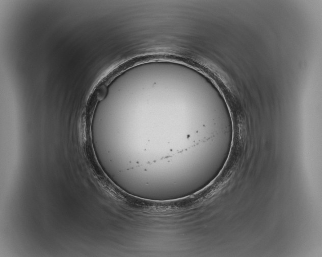X0000116461069200912161227