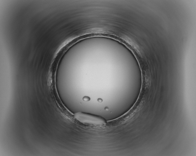 X0000116461070200912161227