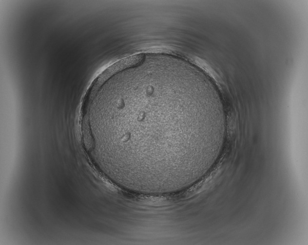 X0000116461071200912161227
