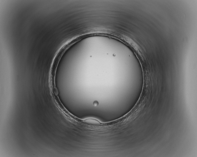 X0000116461072200912161227
