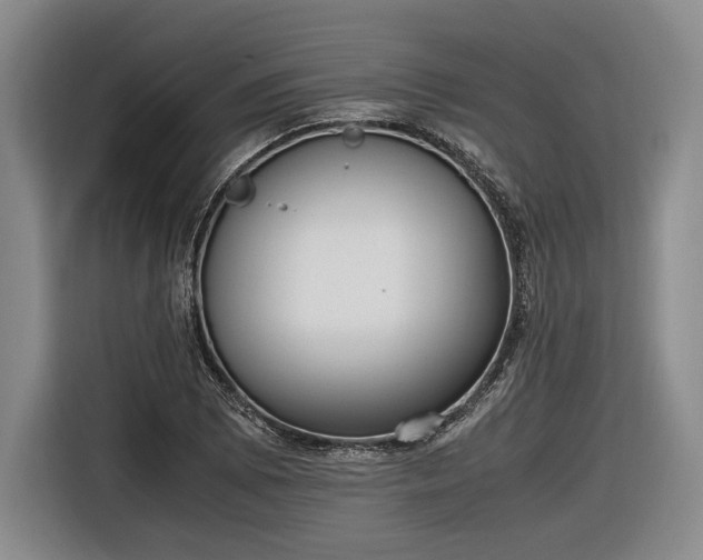 X0000116461073200912161227