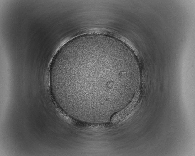 X0000116461075200912161227