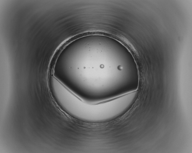 X0000116461076200912161227