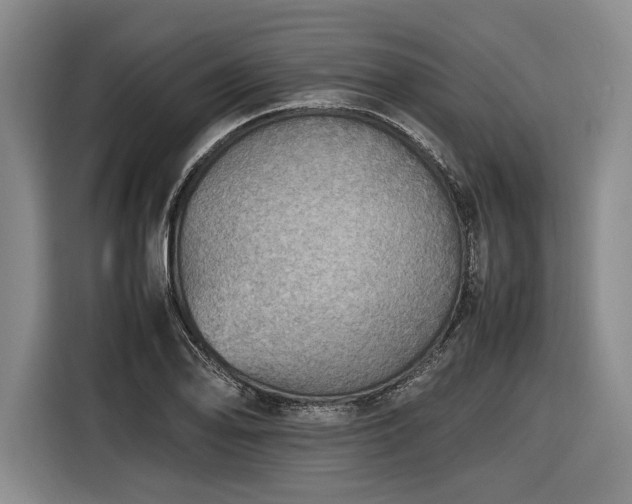 X0000116461078200912161227