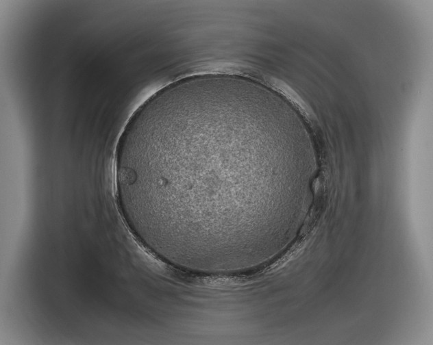 X0000116461079200912161227