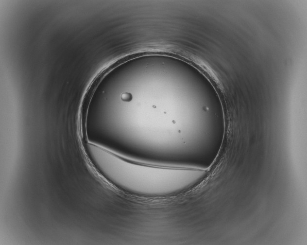 X0000116461080200912161227