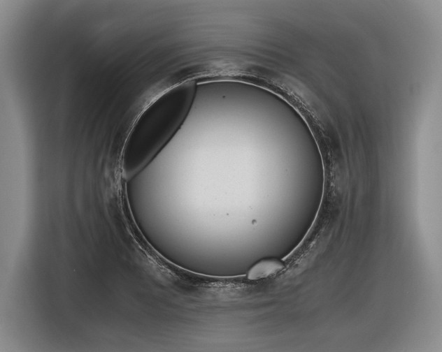 X0000116461081200912161227