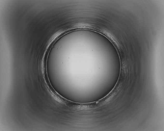 X0000116461082200912161227